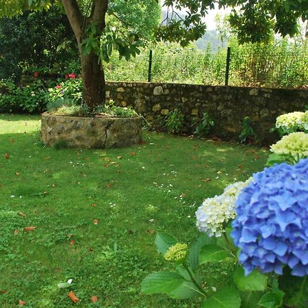 Casa De Aldea El Toral Guest House Rales  Ngoại thất bức ảnh
