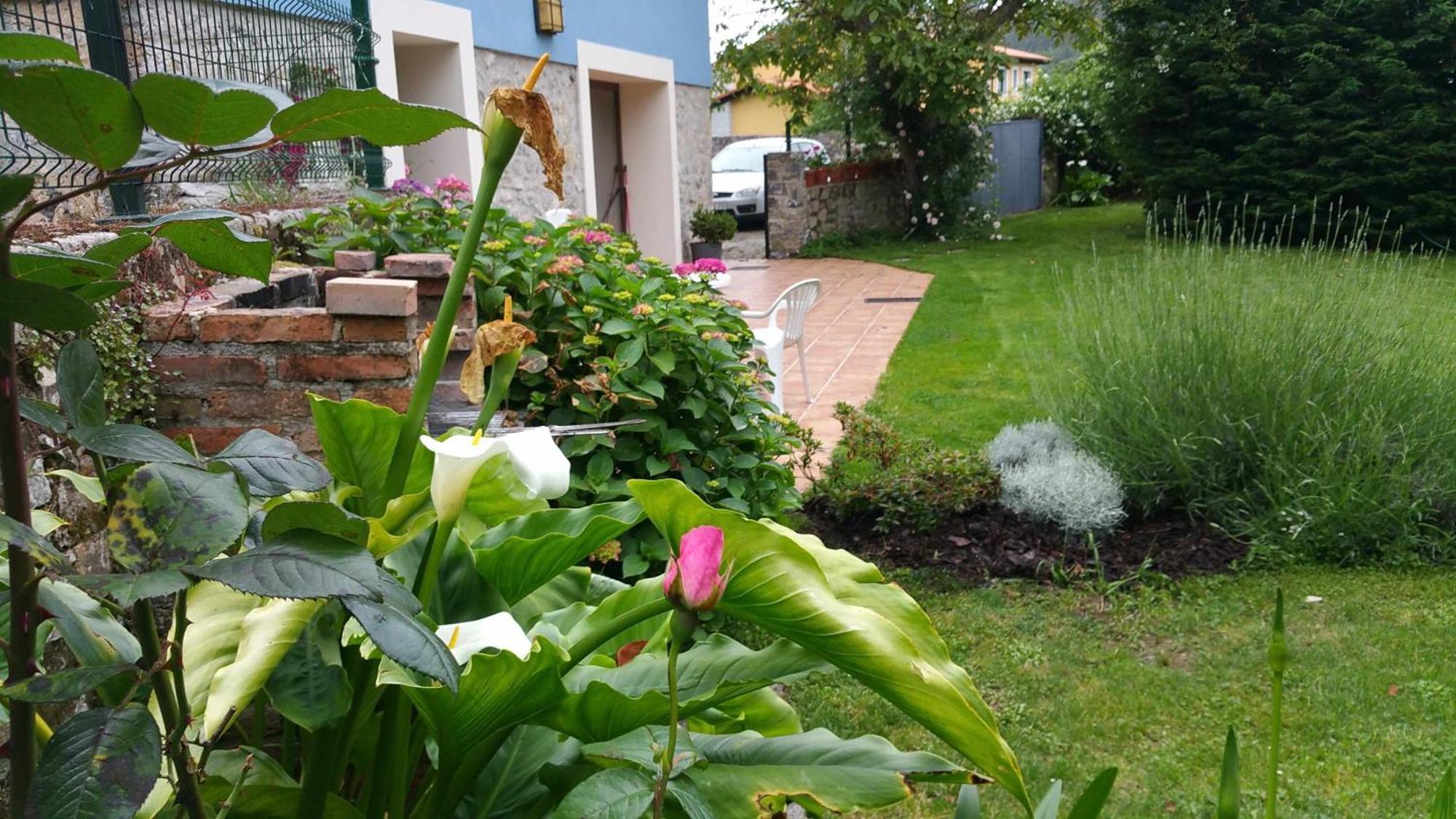 Casa De Aldea El Toral Guest House Rales  Ngoại thất bức ảnh